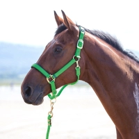 SHIRES Недоуздок "Topaz", зеленый